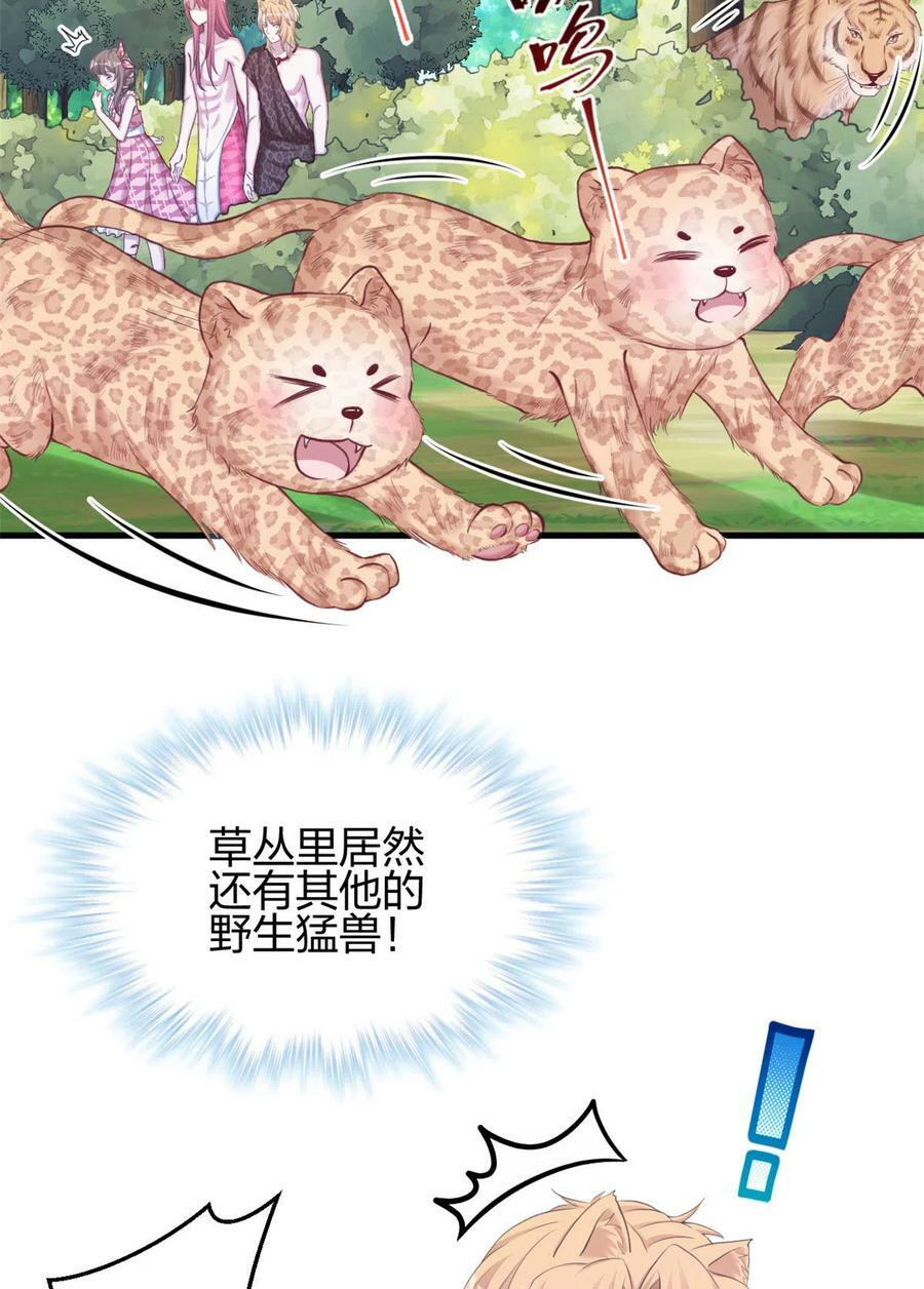 36713