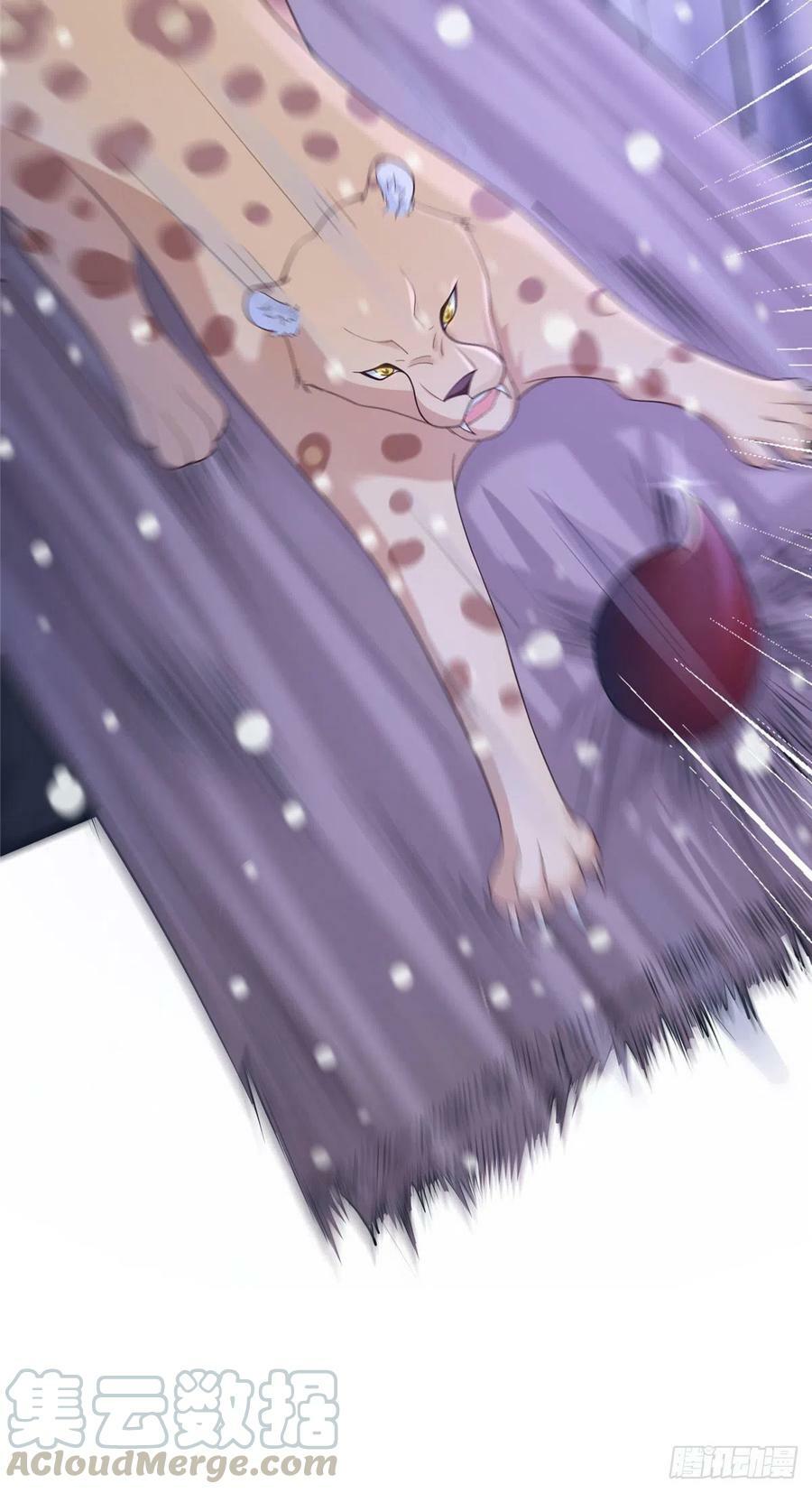 27516