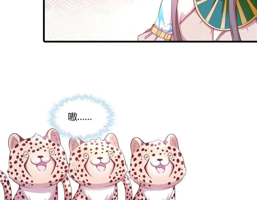 56637