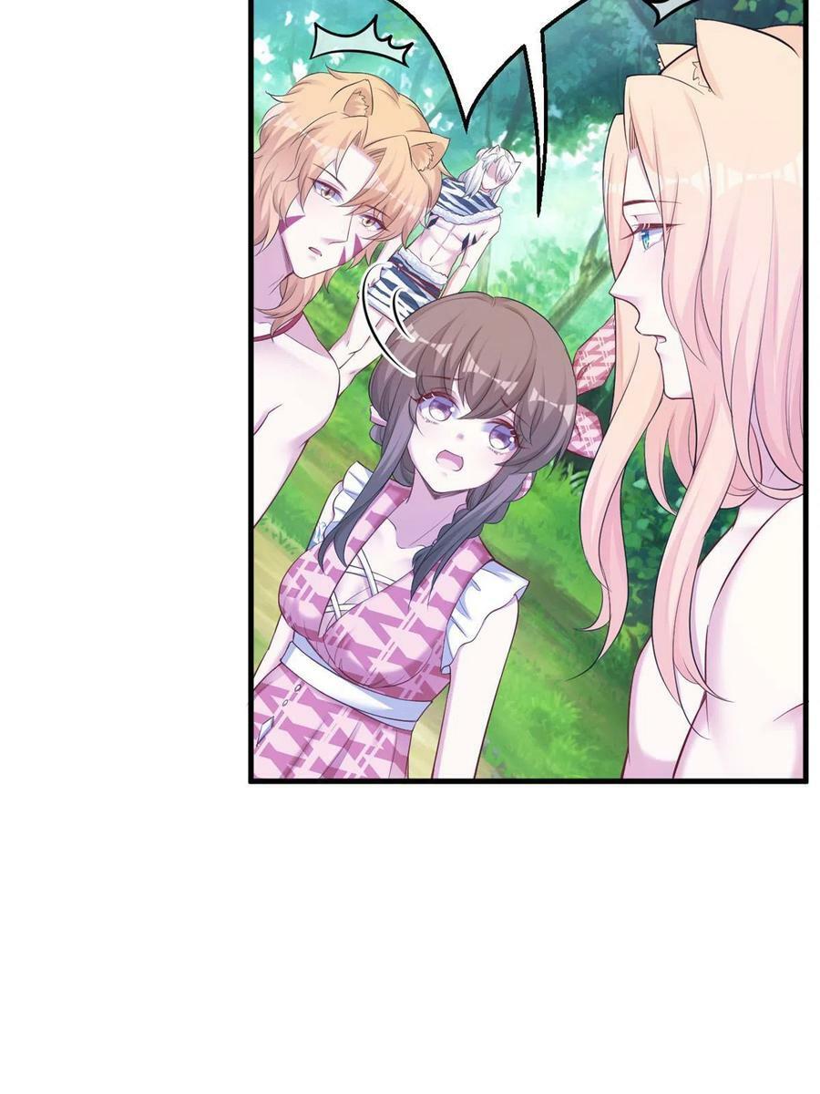 38123