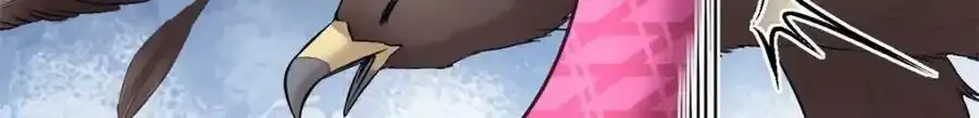 46623