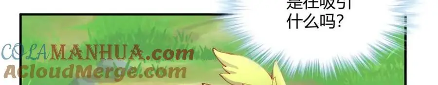 52796