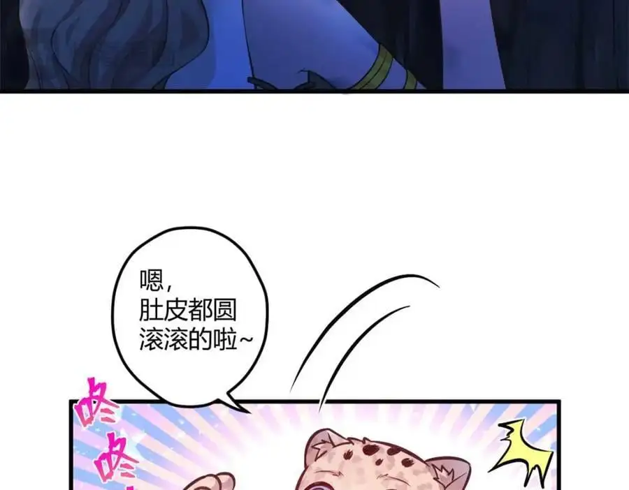 51337