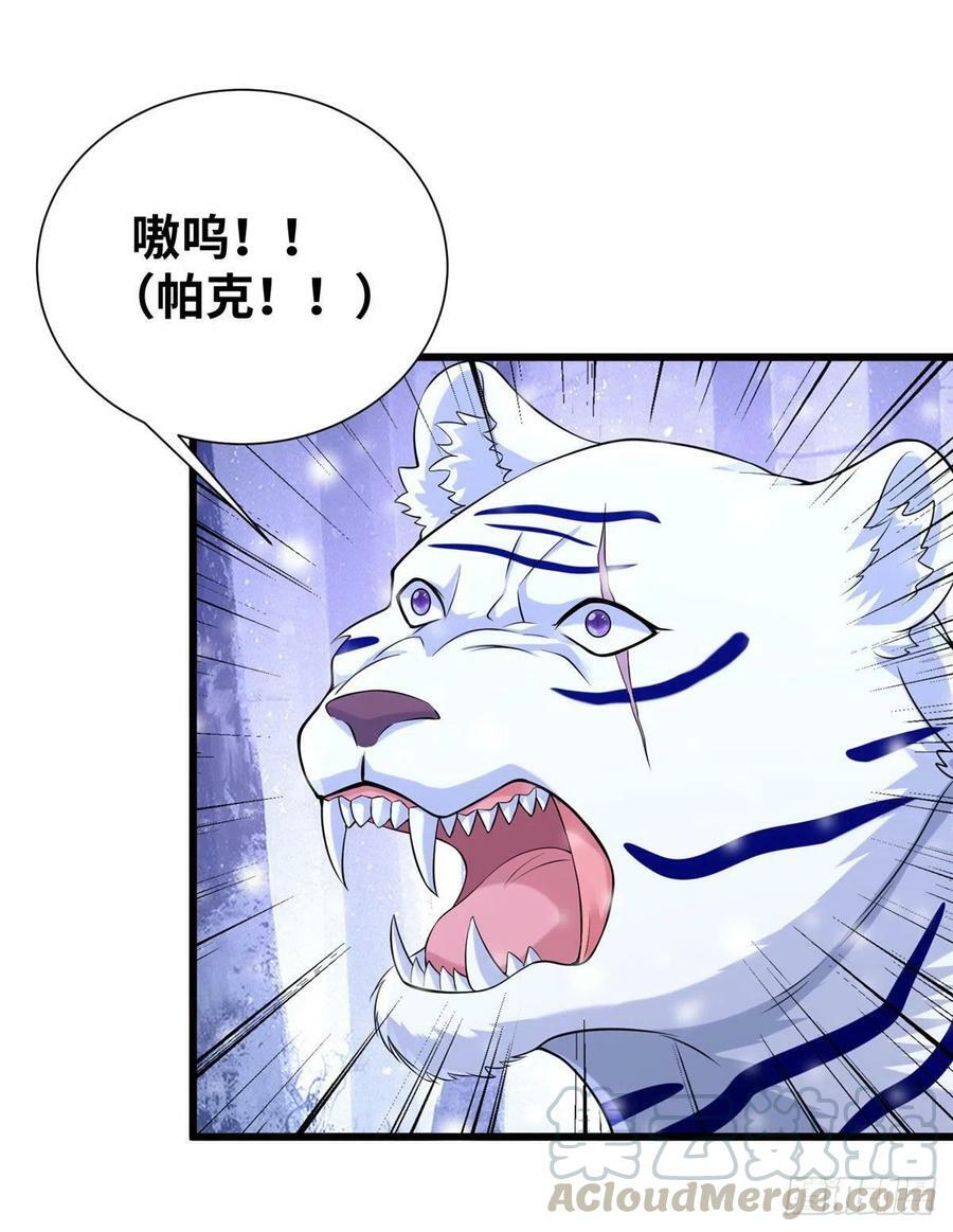 26627
