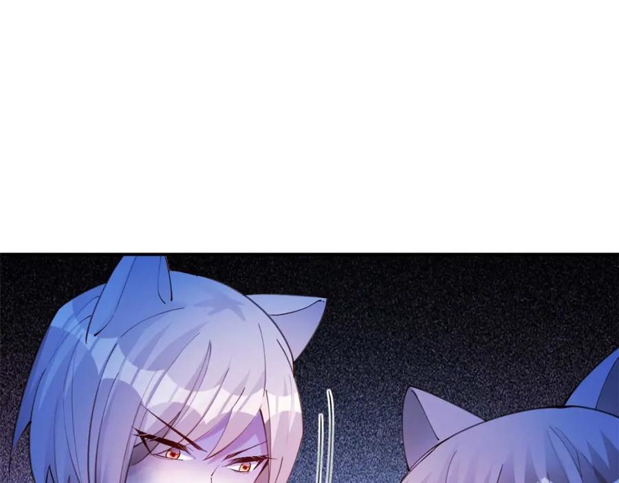 50591