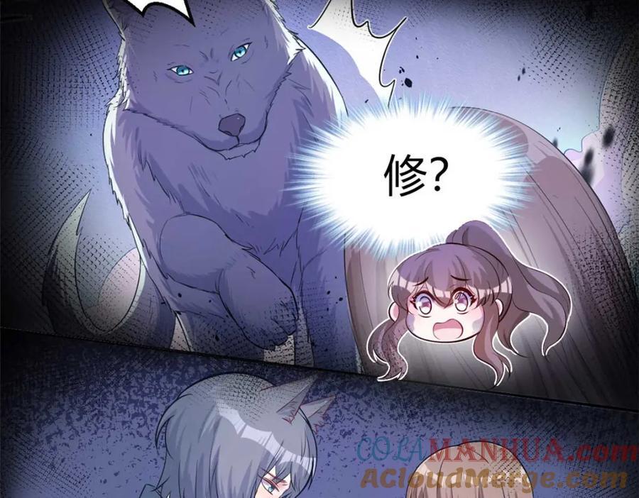 51088