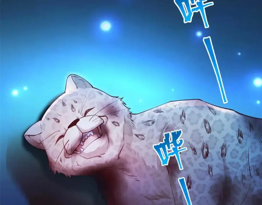 52070