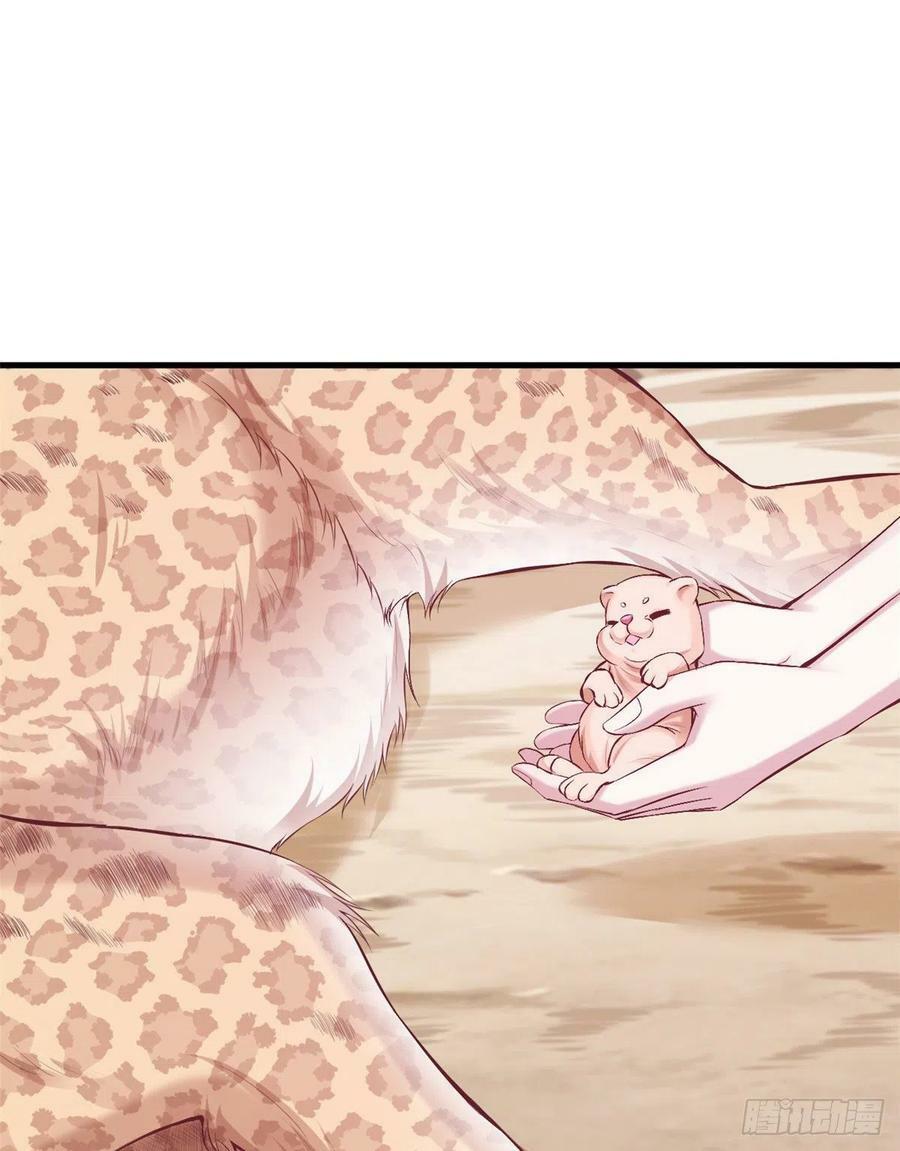 第204话13