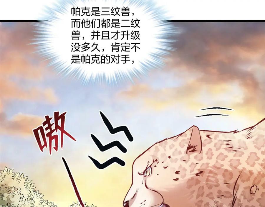 47081