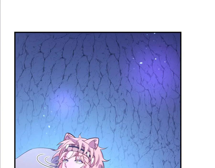50267