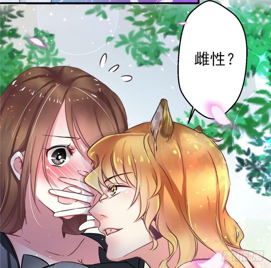 第01话91