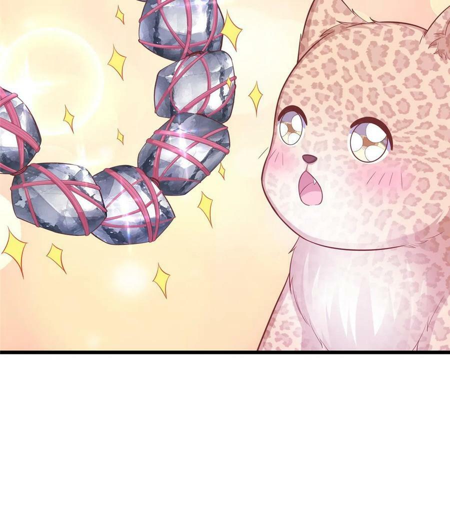 43538