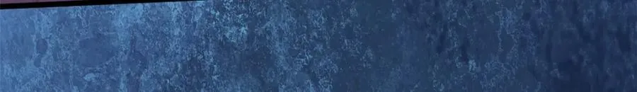 54456