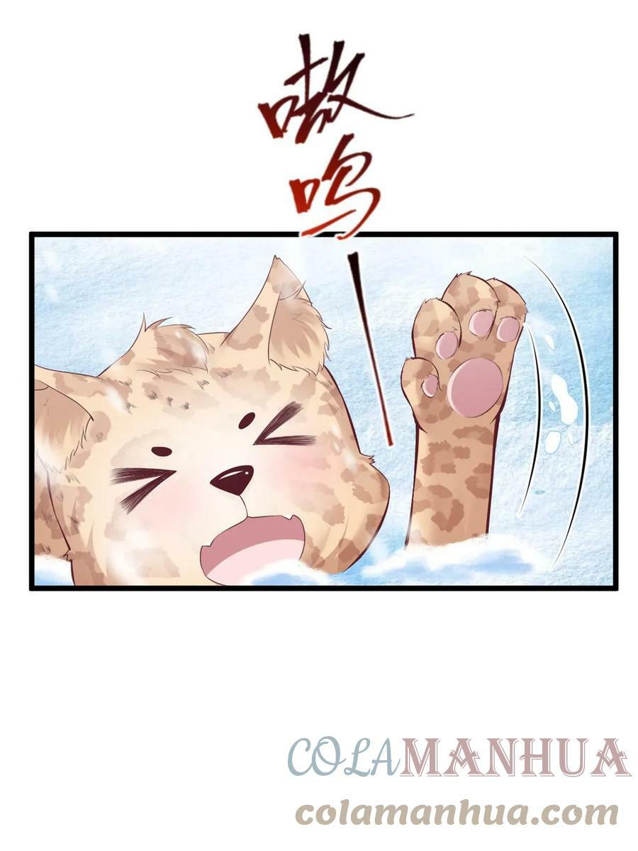 44421