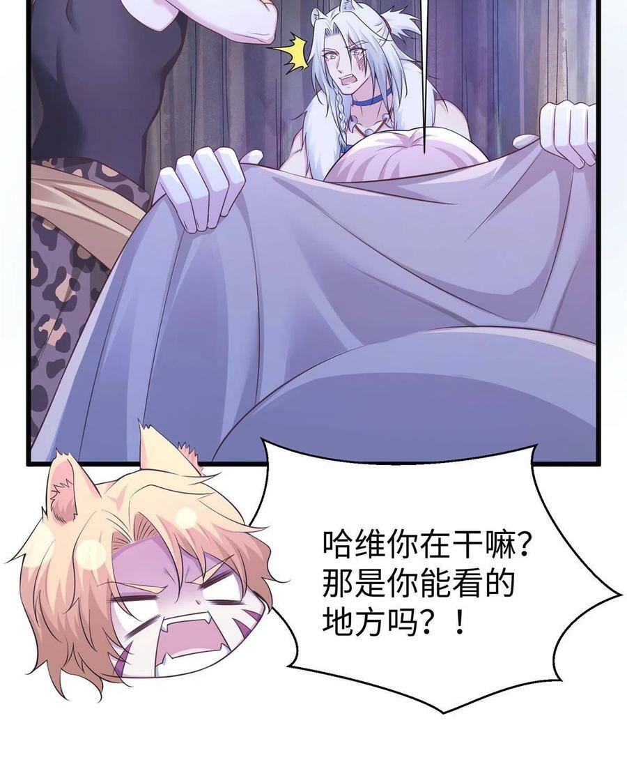 41753