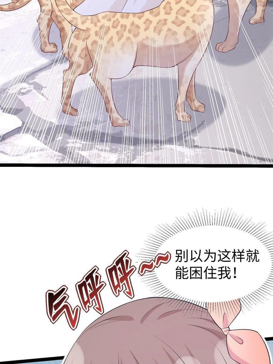42661