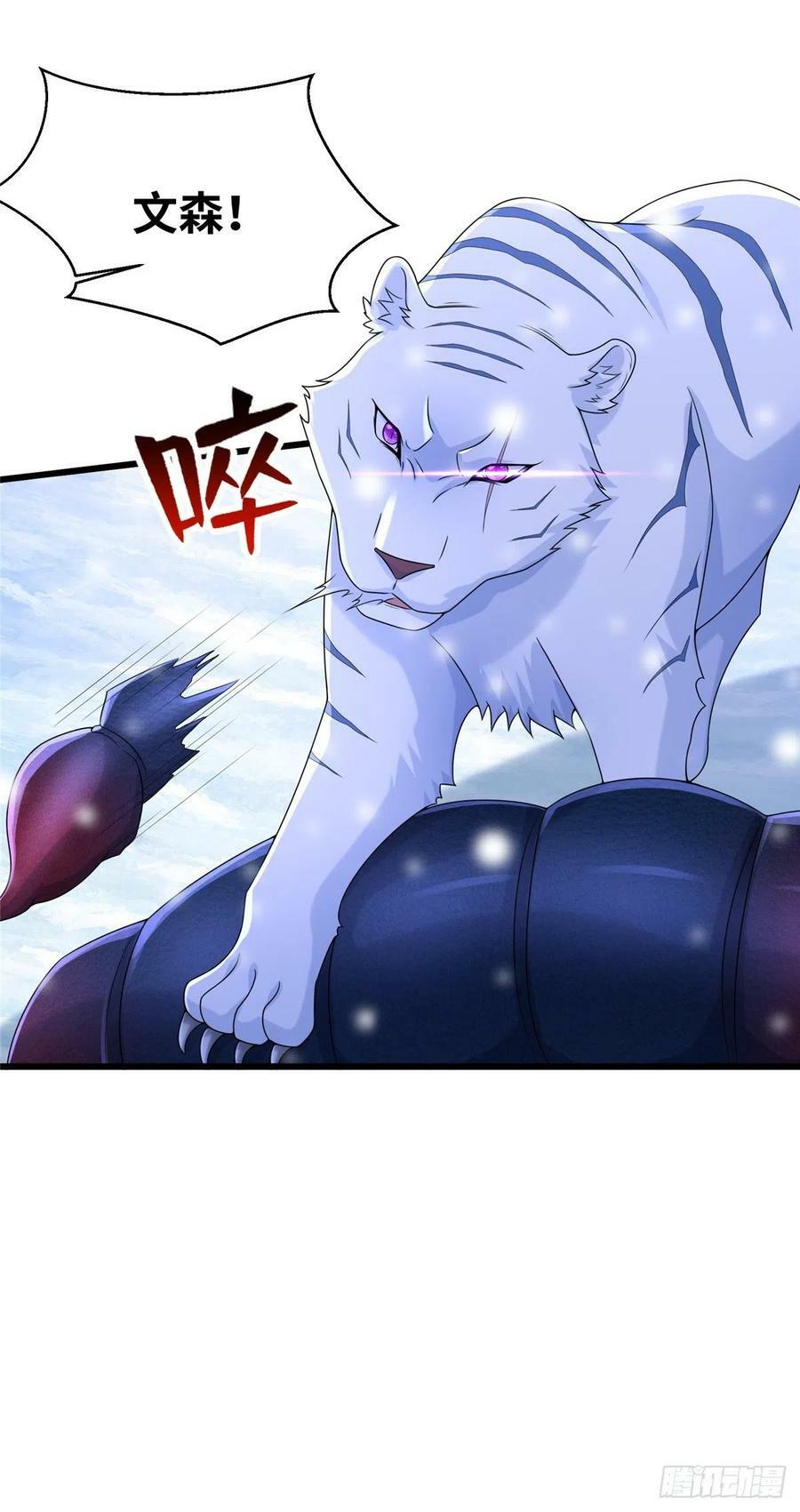 27433
