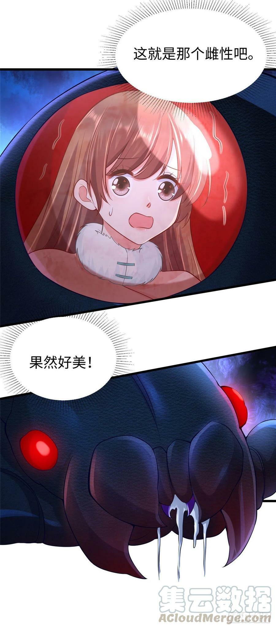 27428