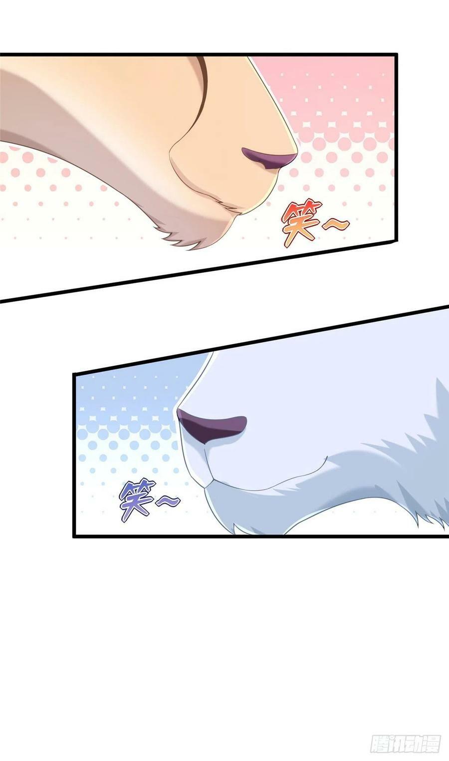 27533