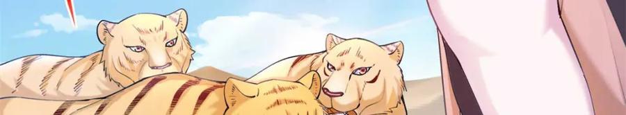 49811