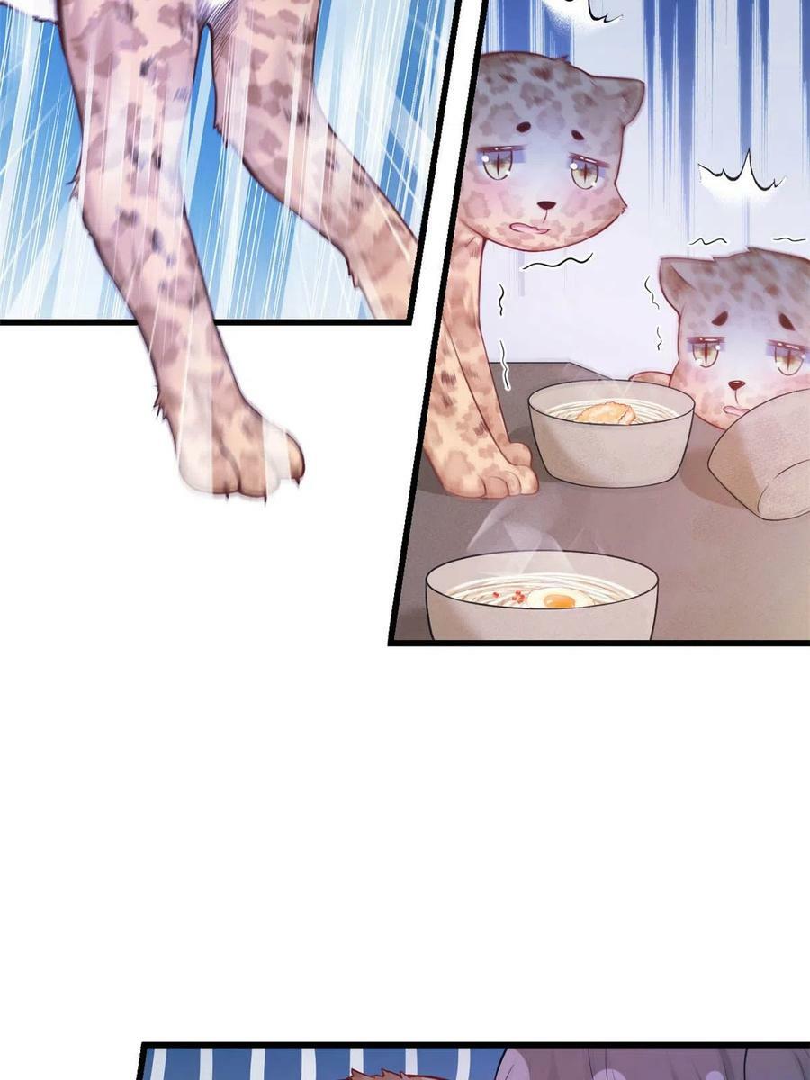 39223