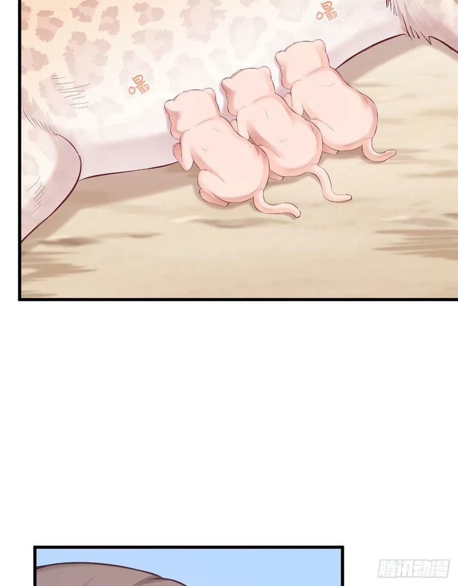 第204话31