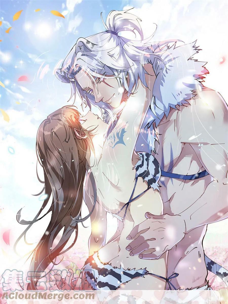 37254
