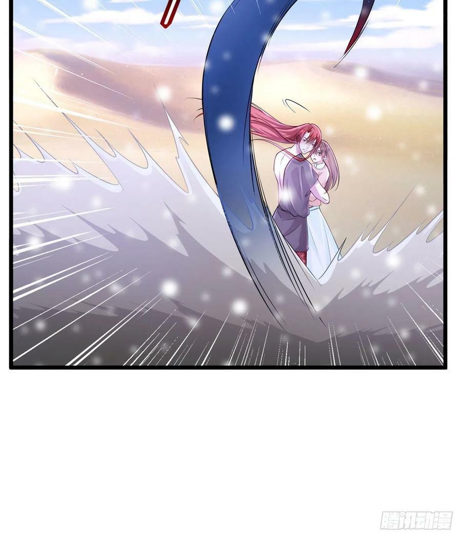 26219