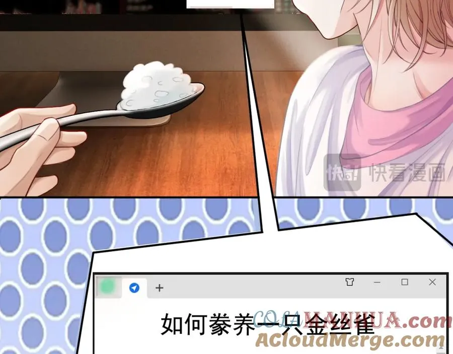 第13话 霸总学养金丝雀80