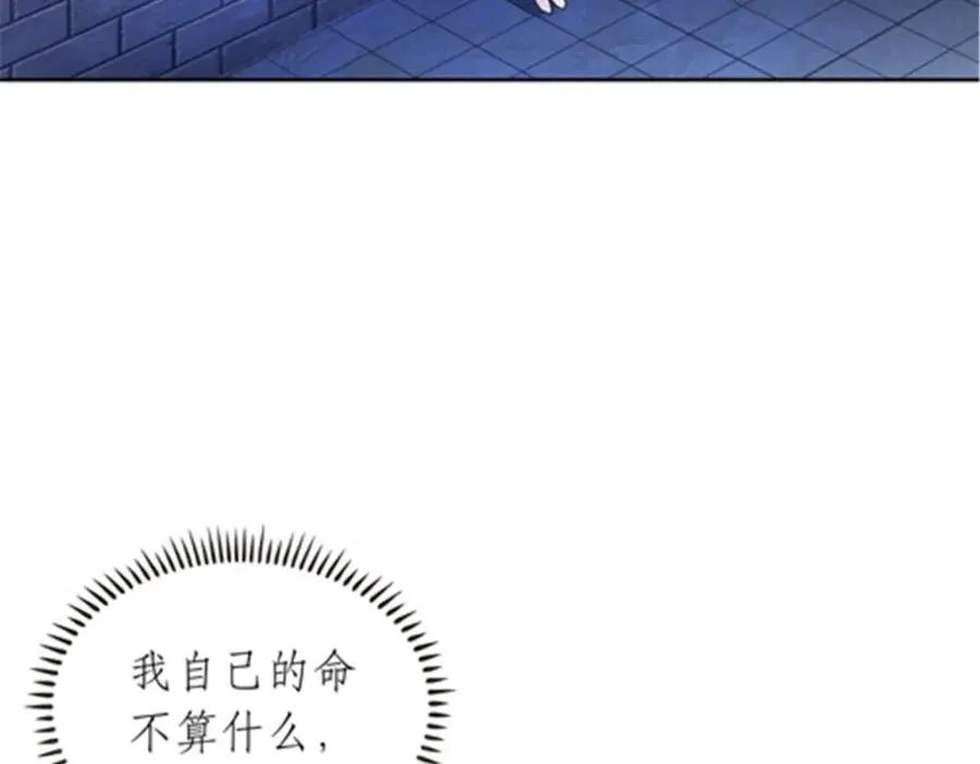 206 乘乱出击102