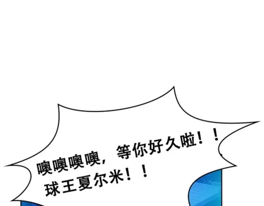 15 球王夏尔米14
