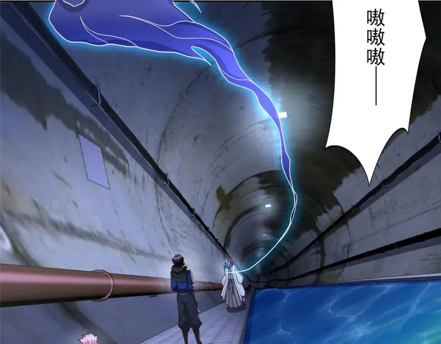 272 被发现了19