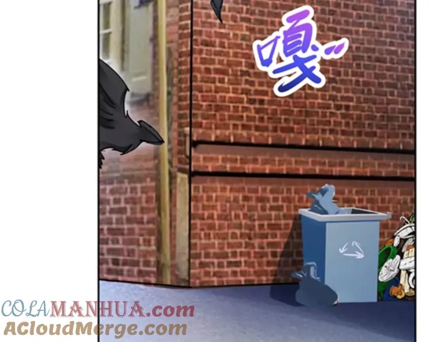 121 女粉丝！88