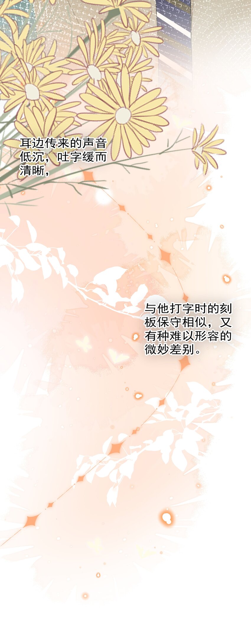008 乐乐40