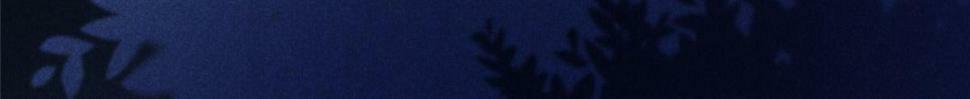 032 猛鬼出笼31