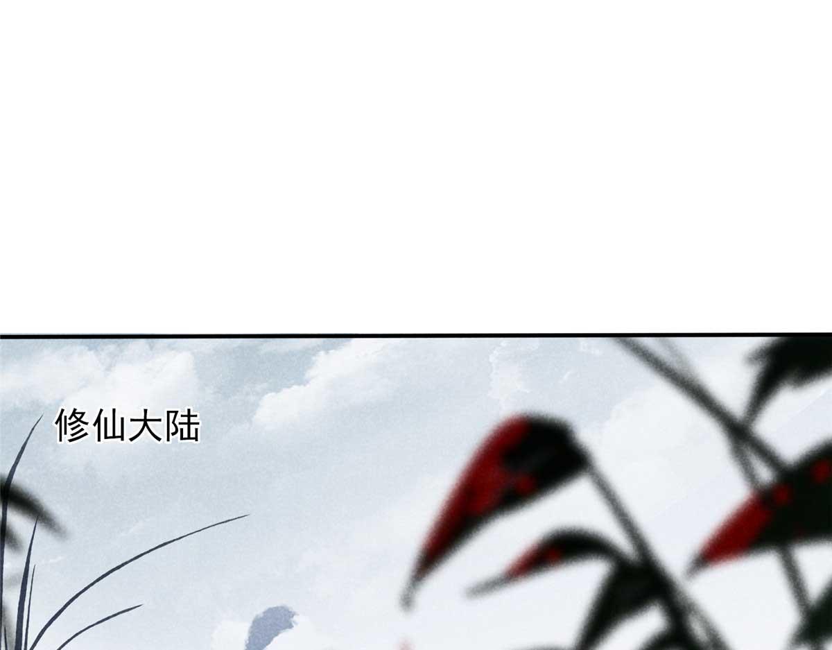 01 苏傻子4