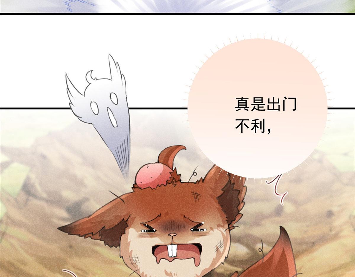 05 松鼠精19
