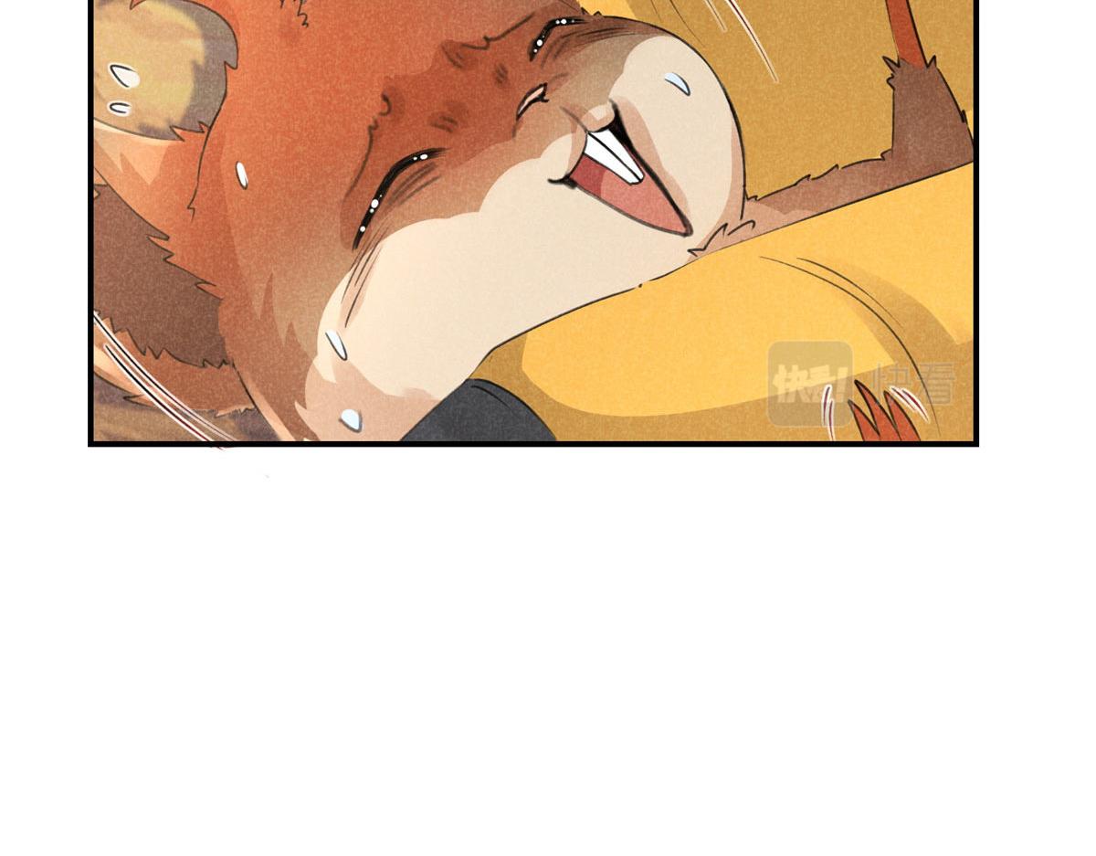 05 松鼠精68