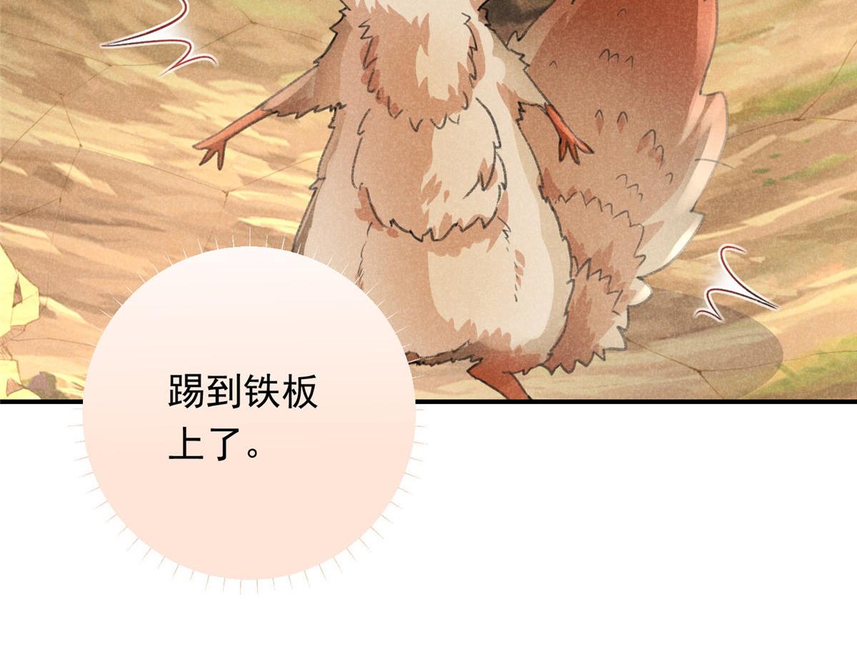 05 松鼠精20