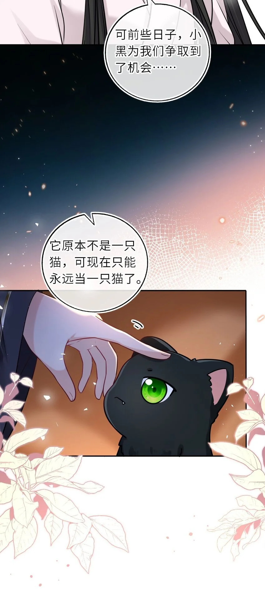 088 凤姐姐是猫妖吗47