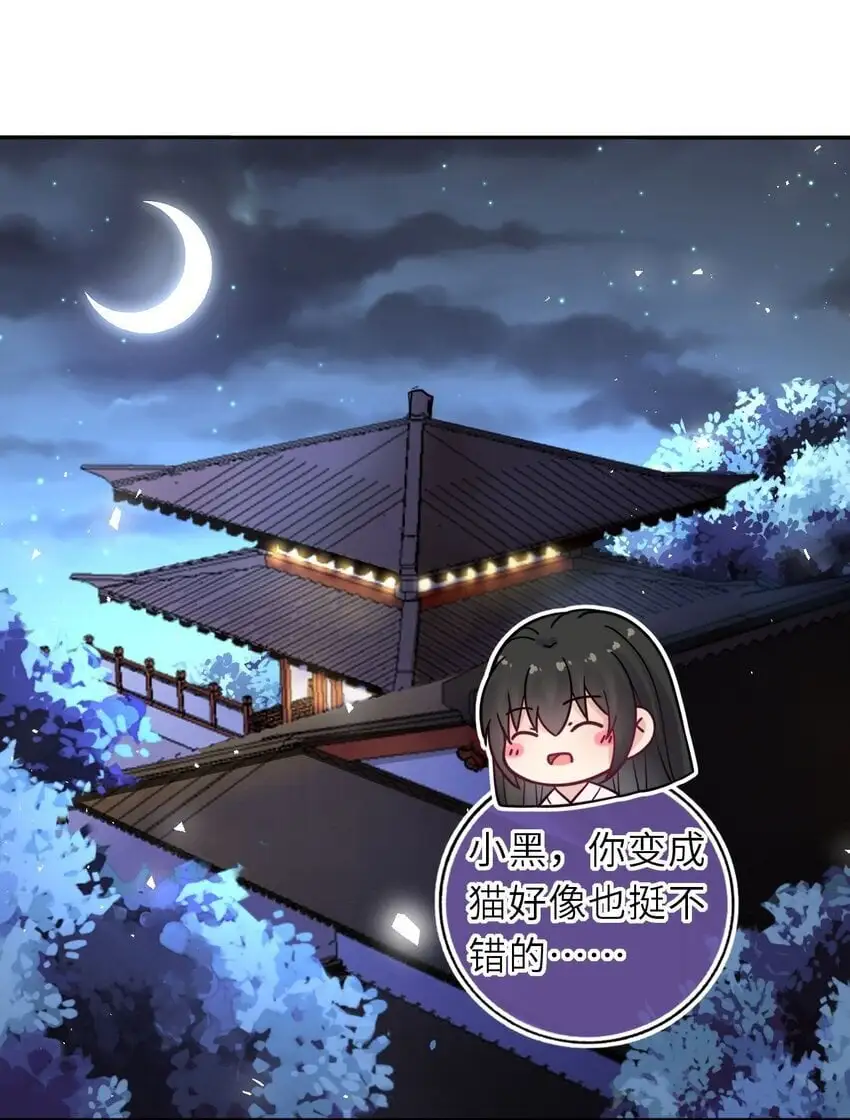 088 凤姐姐是猫妖吗2