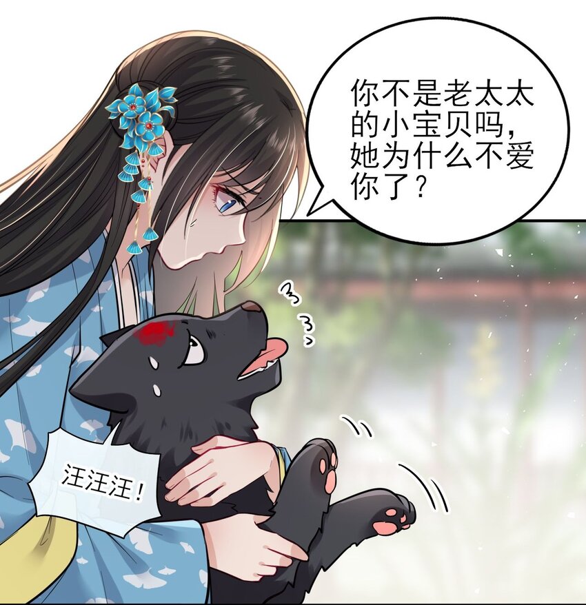 006 来吧！骂我吧！31