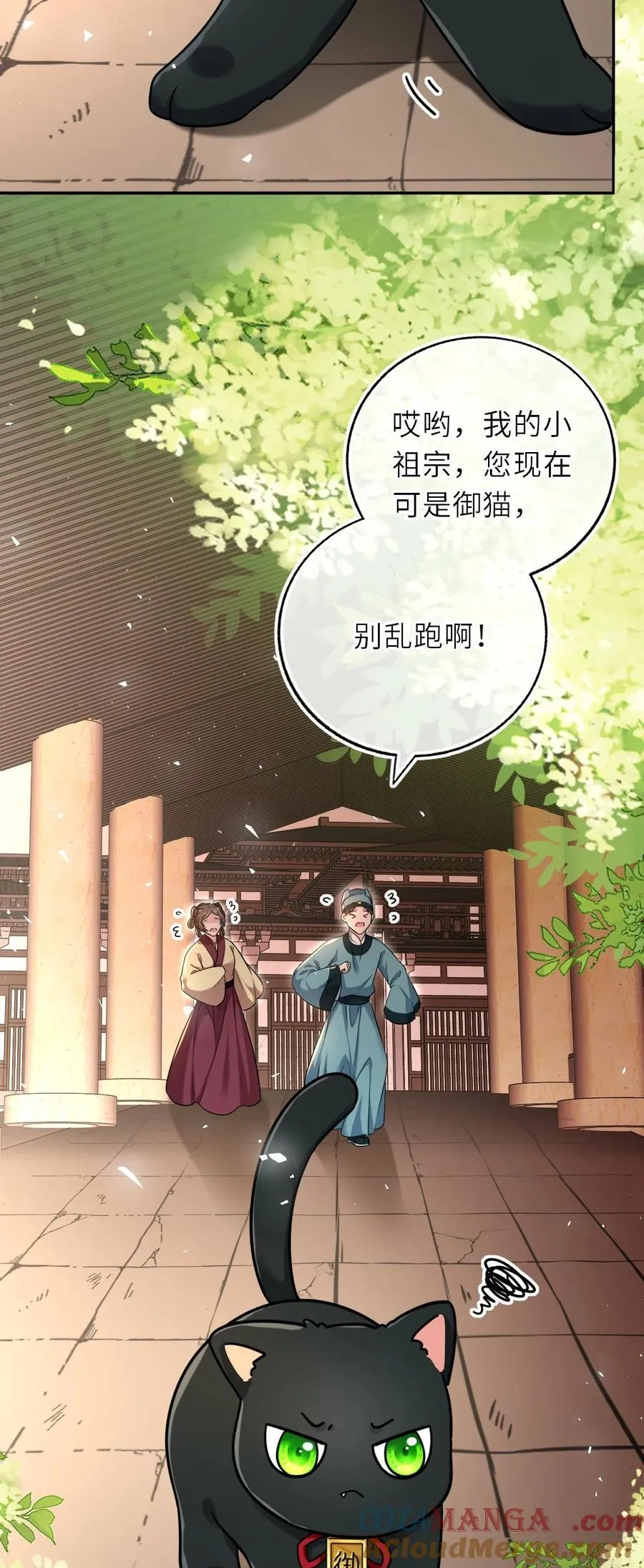 104 帝后登基18
