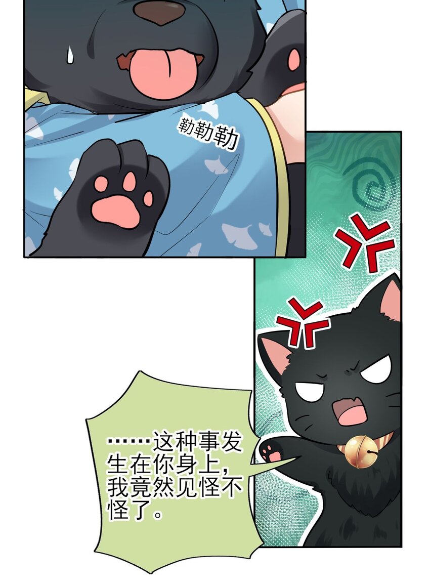 006 来吧！骂我吧！30