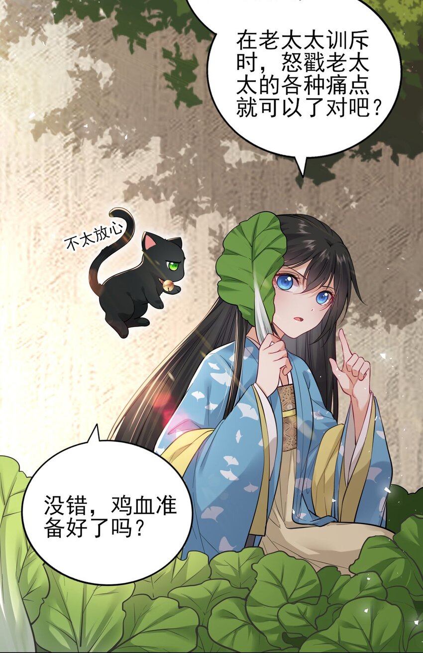 006 来吧！骂我吧！6