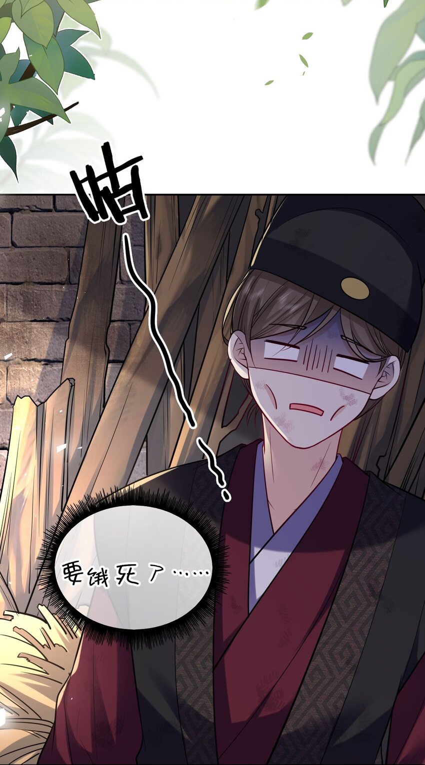 030 报复四皇子19