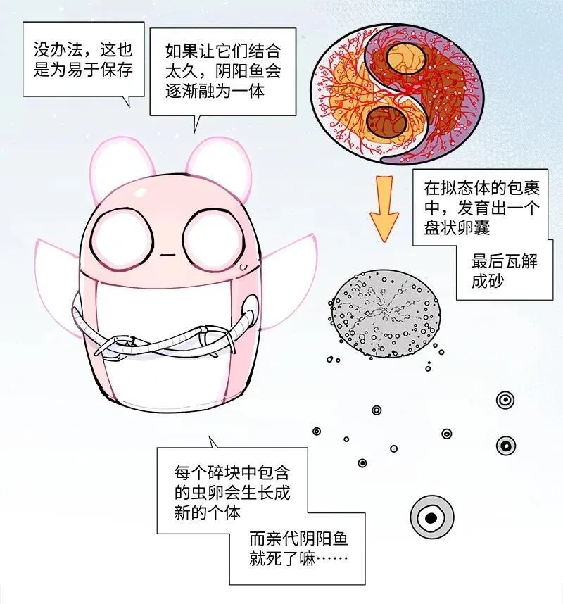 【第35谈】 麻雀虽小，五脏俱全。25
