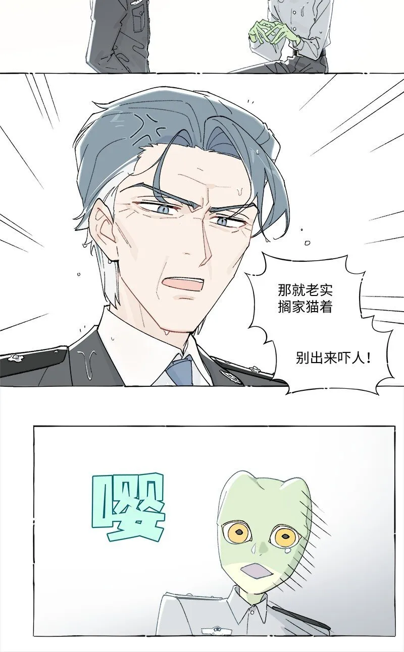 未归档 【编号230801】雨天小心青蛙。33