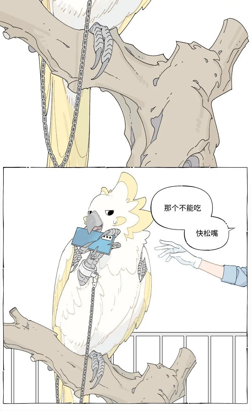 未归档 【编号231111】好汉不提当年勇。18