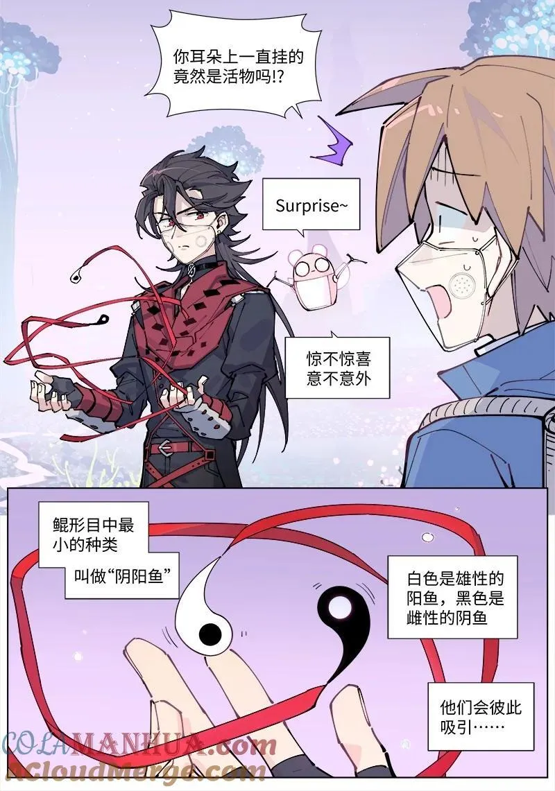 【第35谈】 麻雀虽小，五脏俱全。18